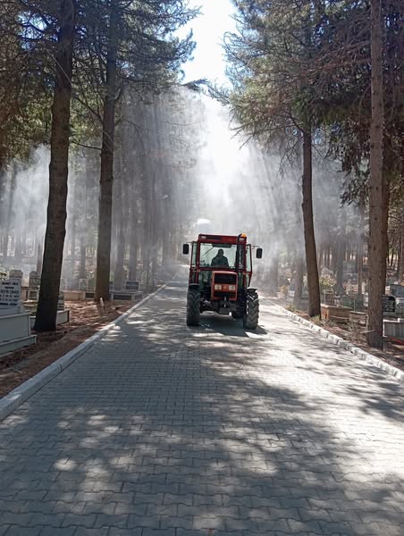 Isparta Eğirdir Belediyesi Veteriner