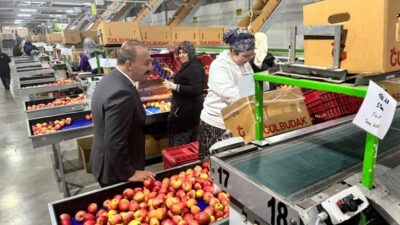 Vali Abdullah Erin, Eğirdir’de GÜLBUDAK Elma Paketleme Tesisini Ziyaret Etti