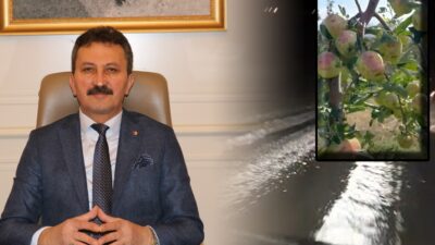 Elma Bahçelerinde Dolu Tahribatı: Eğirdir ve Gelendost’ta Felaketi