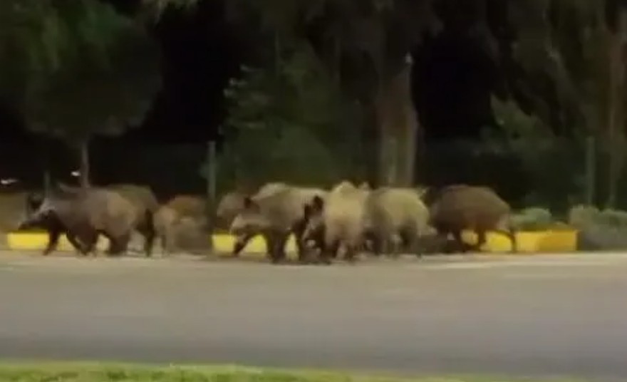 Isparta merkezde gece saatlerinde