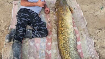 Yalvaç’ta Amatör Balıkçıların Oltasına 42 Kilo Yayın Takıldı