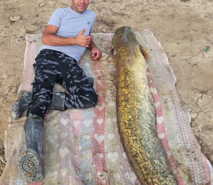 Yalvaç’ta Amatör Balıkçıların Oltasına 42 Kilo Yayın Takıldı Isparta’nın Yalvaç ilçesine bağlı