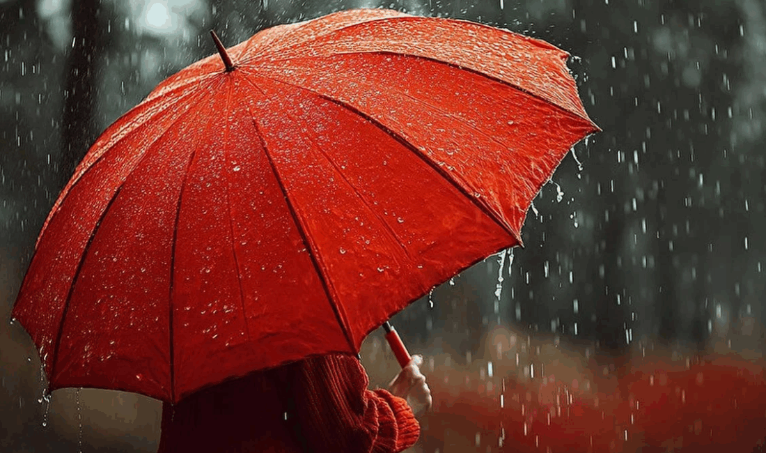 Meteoroloji Genel Müdürlüğü’nün son