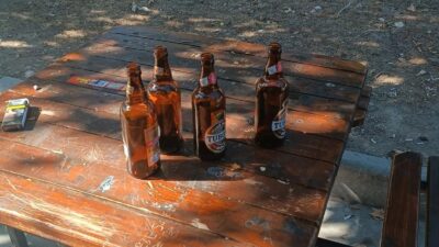 Muhtar Osman Başpınar’dan Mahalle Parkında Alkol Alanlara Tepki