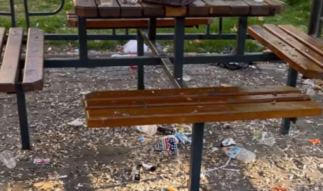 Gülistan Mahallesi Parklarında Çevre Kirliliği Tepki Çekti Gülistan Mahallesi’nde bulunan çocuk