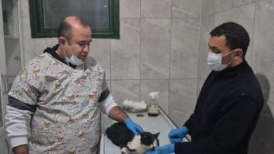 Şanslı’nın Yaşam Mücadelesi: Belediye Ekibi Görev Başında