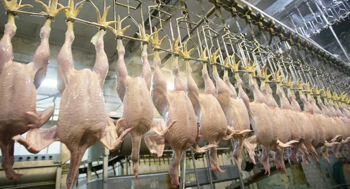 Antalya’nın Aksu ilçesinde gerçekleştirilen