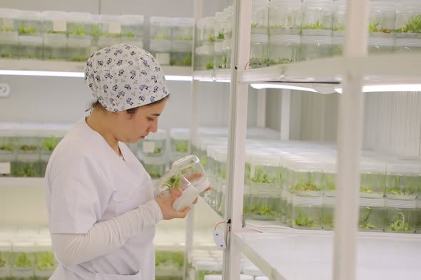 Isparta Uygulamalı Bilimler Üniversitesi