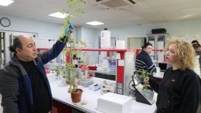 Isparta Uygulamalı Bilimler Üniversitesi (ISUBÜ)