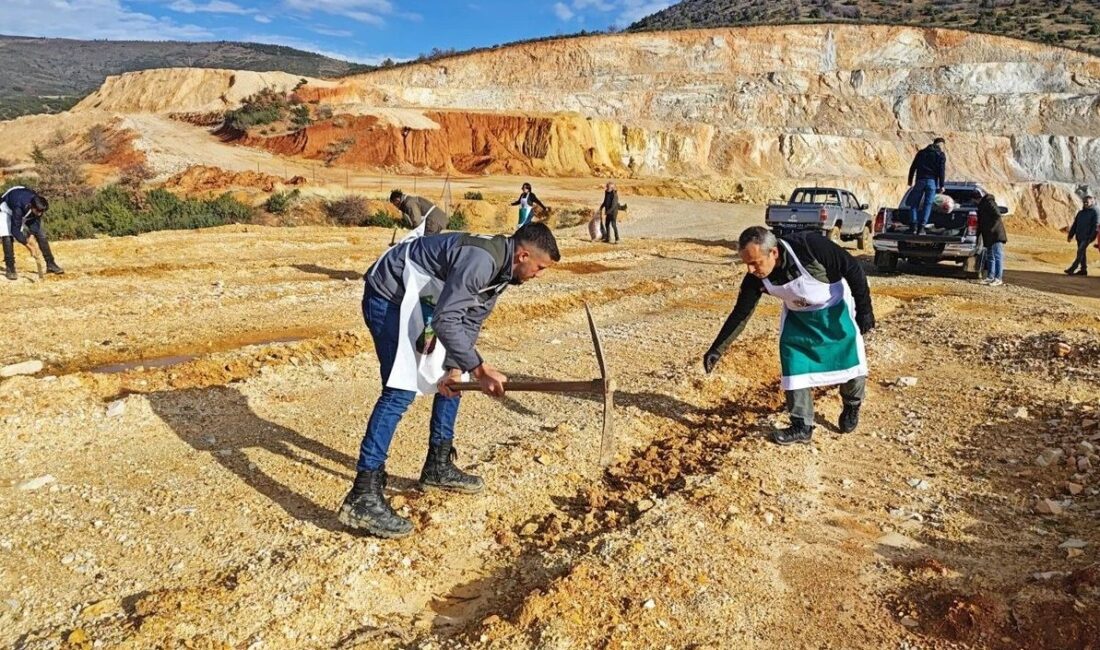Isparta Orman Bölge Müdürlüğü,