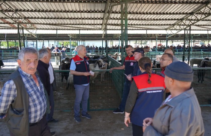 SAT-1 tipi şap hastalığı