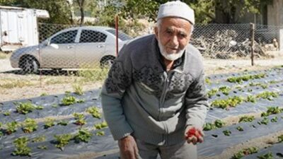 Isparta’nın Sav beldesinde, yaklaşık 30