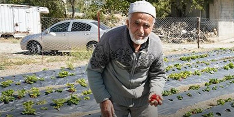 Isparta’nın Sav beldesinde, yaklaşık