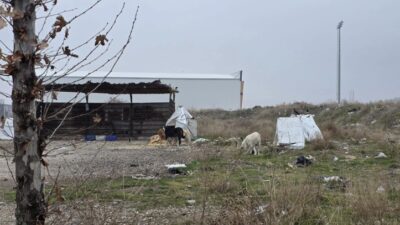 Isparta İl Özel İdaresi tarafından