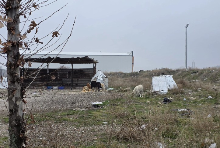 Isparta İl Özel İdaresi