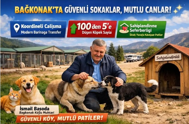 Bağkonak’ta Muhtarlık Önceliği: Sokak Hayvanları