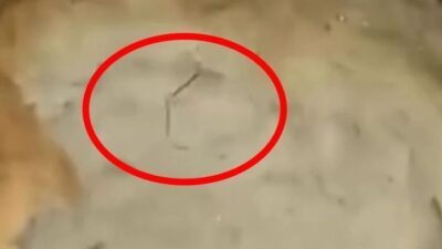 Isparta’nın Gönen ilçesine bağlı Baradız