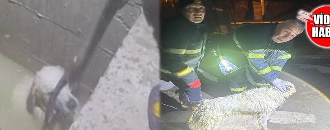 Isparta’nın Hızırbey Mahallesi’nde bir