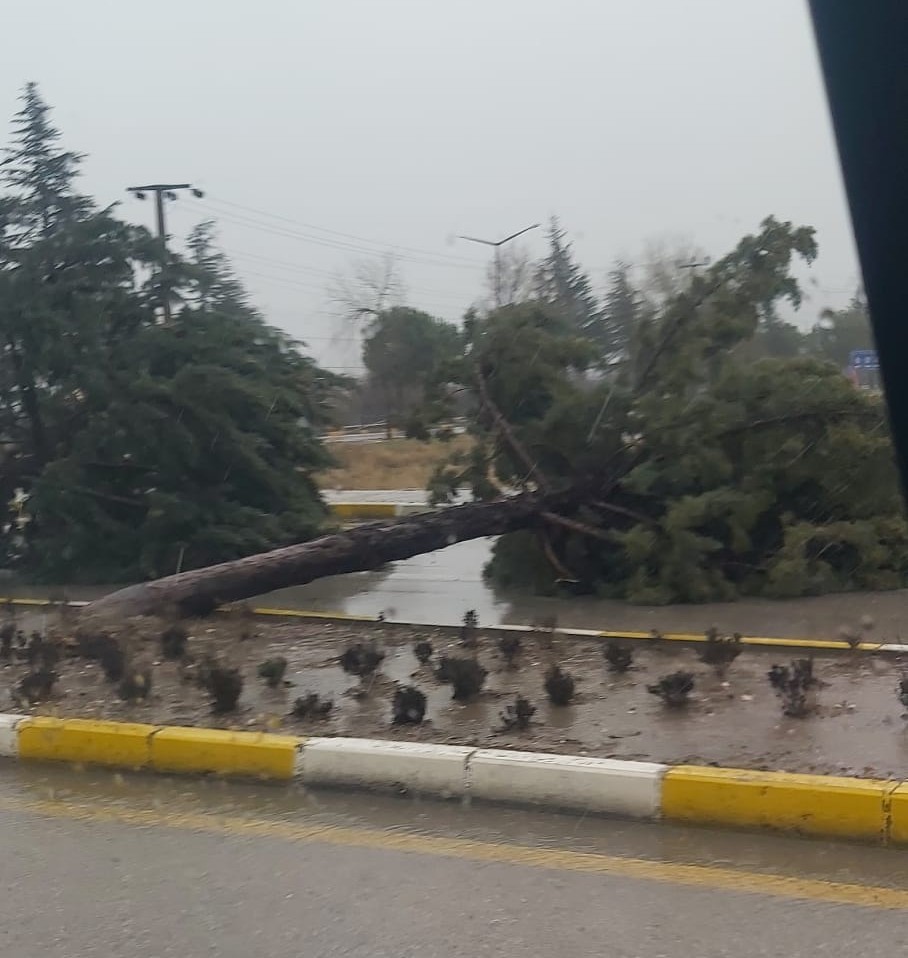 39 Km Hızla Esti, Ağaçları Devirdi! Isparta’da Korku Dolu Anlar