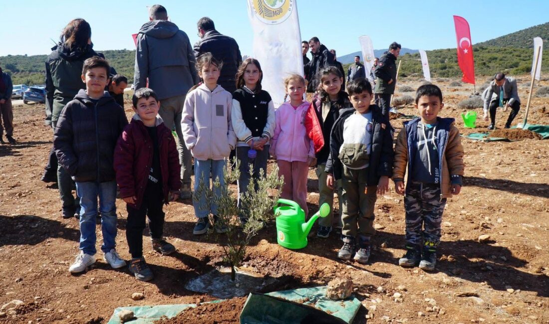 Isparta Orman Bölge Müdürlüğü