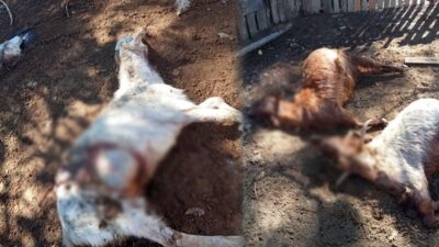 Isparta’nın Sütçüler ilçesinde gece saatlerinde