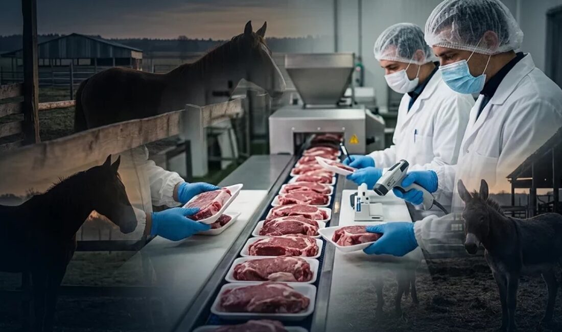 Tarım ve Orman Bakanlığı,