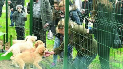 Doğa Koruma ve Milli Parklar