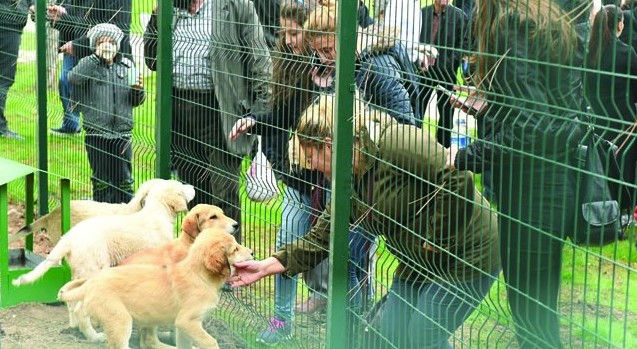 Doğa Koruma ve Milli Parklar