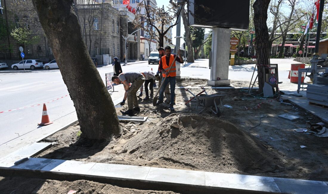 Isparta Belediyesi, kent genelinde