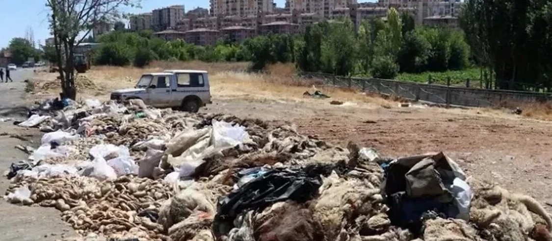 Isparta Köylerinde Kurban Atığı Uyarısı: Çöpe Atana Toplama Yok