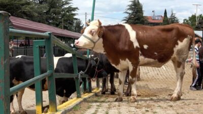 Kurban Bayramı öncesinde denetim ve
