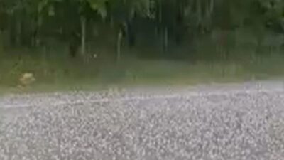 Gelendost ilçesi ile Akmescit arasında