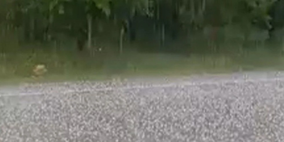 Gelendost ilçesi ile Akmescit