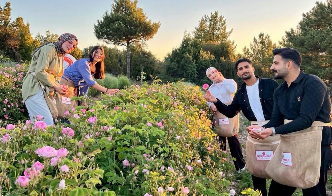 Isparta Gençlik ve Spor