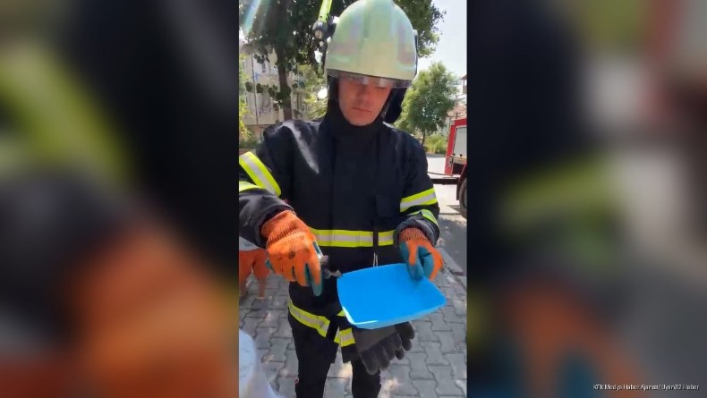 Isparta'nın Fatih Mahallesi'nde ağaçta mahsur