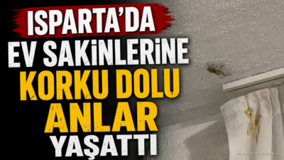ISPARTA (KFK Ajans) – Isparta’da