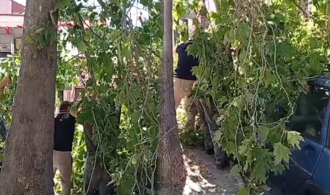 ISPARTA (KFK Ajans) – Isparta’nın