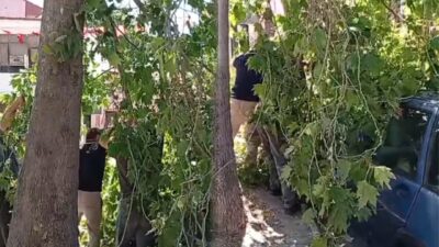 ISPARTA (KFK Ajans) – Isparta’nın