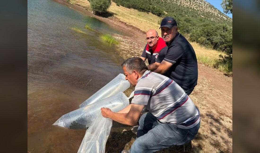 ISPARTA (KFK Ajans) – Şarkikaraağaç