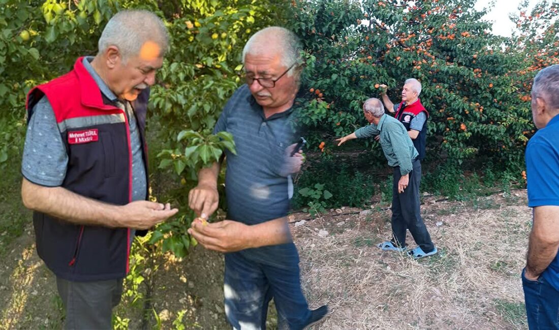 ISPARTA (KFK Ajans) –