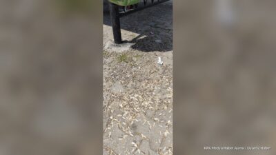 ISPARTA (KFK Ajans) – Isparta’nın