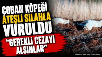 ISPARTA (KFK Ajans) – Isparta’nın