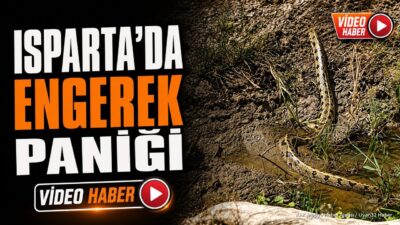 ISPARTA (KFK Ajans) – Isparta’nın