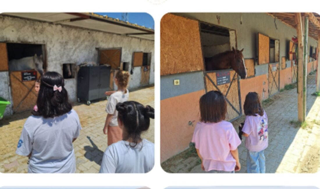 ISPARTA (KFK Ajans) –