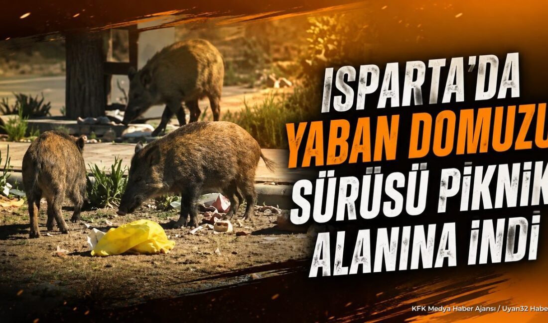 ISPARTA (KFK Ajans) – İsparta’da