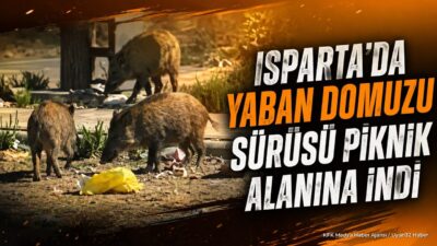 ISPARTA (KFK Ajans) – İsparta’da