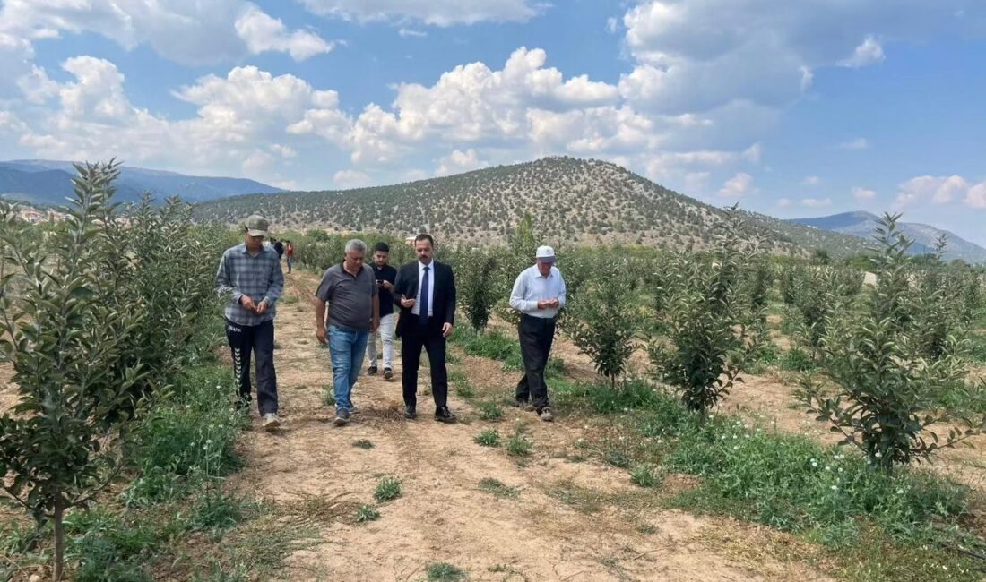 ISPARTA (KFK Ajans) –