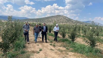 ISPARTA (KFK Ajans) – Isparta’nın