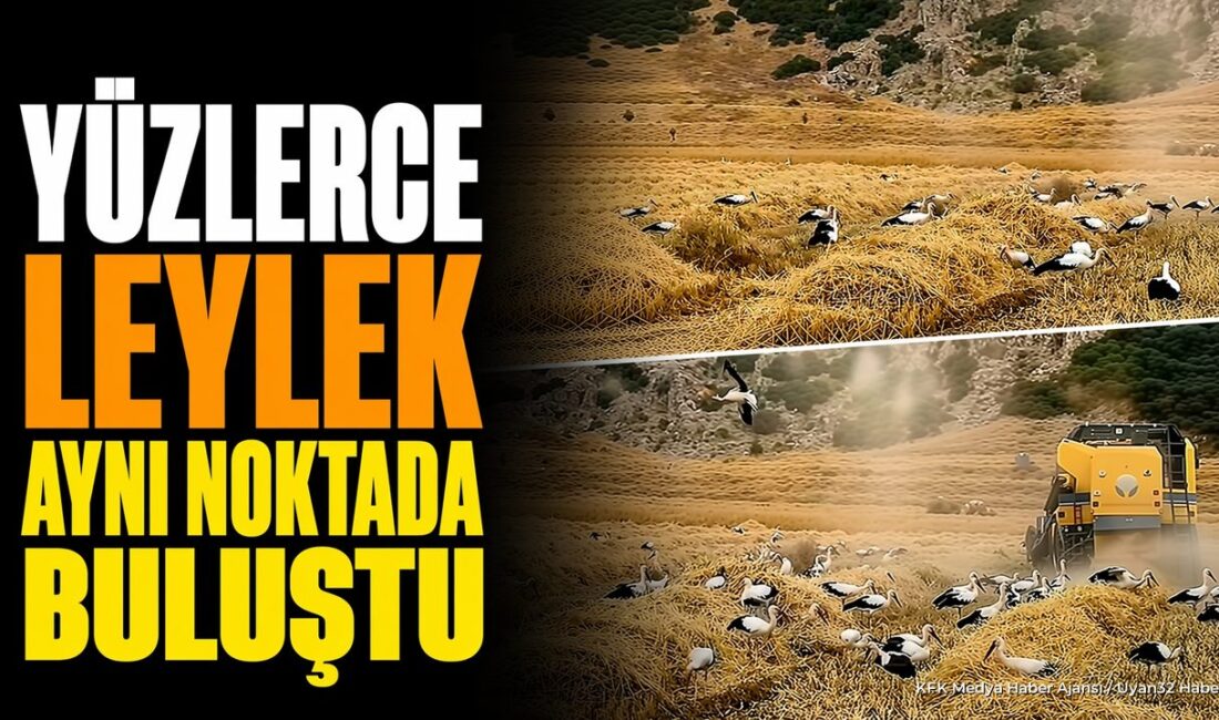 ISPARTA (KFK Ajans) –