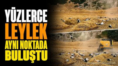 ISPARTA (KFK Ajans) – Isparta’nın